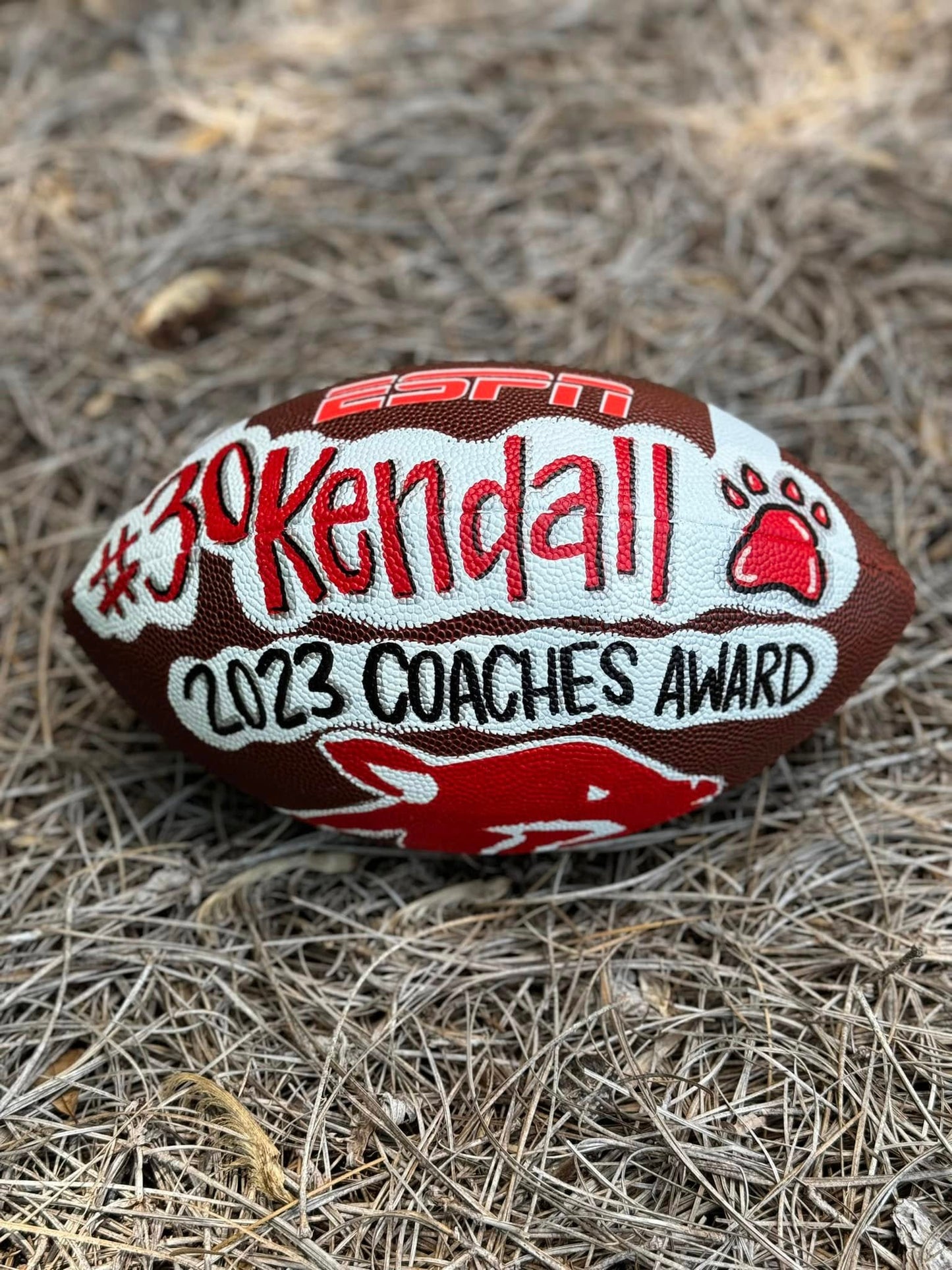 Custom Hand-Painted Sports Balls