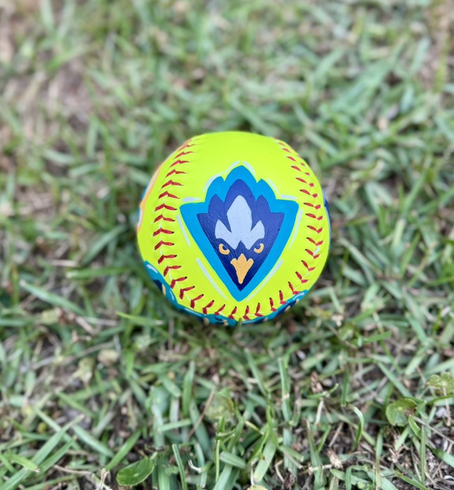 Custom Hand-Painted Sports Balls