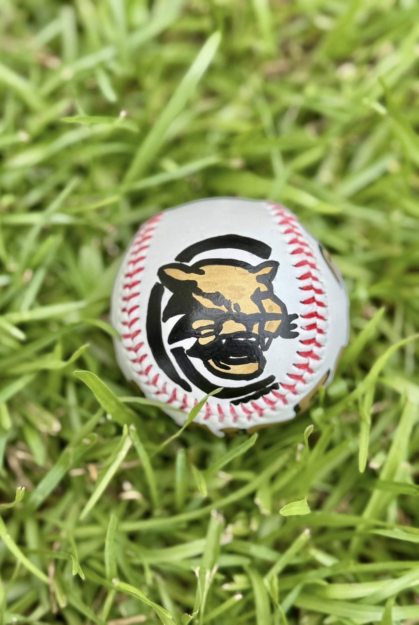 Custom Hand-Painted Sports Balls