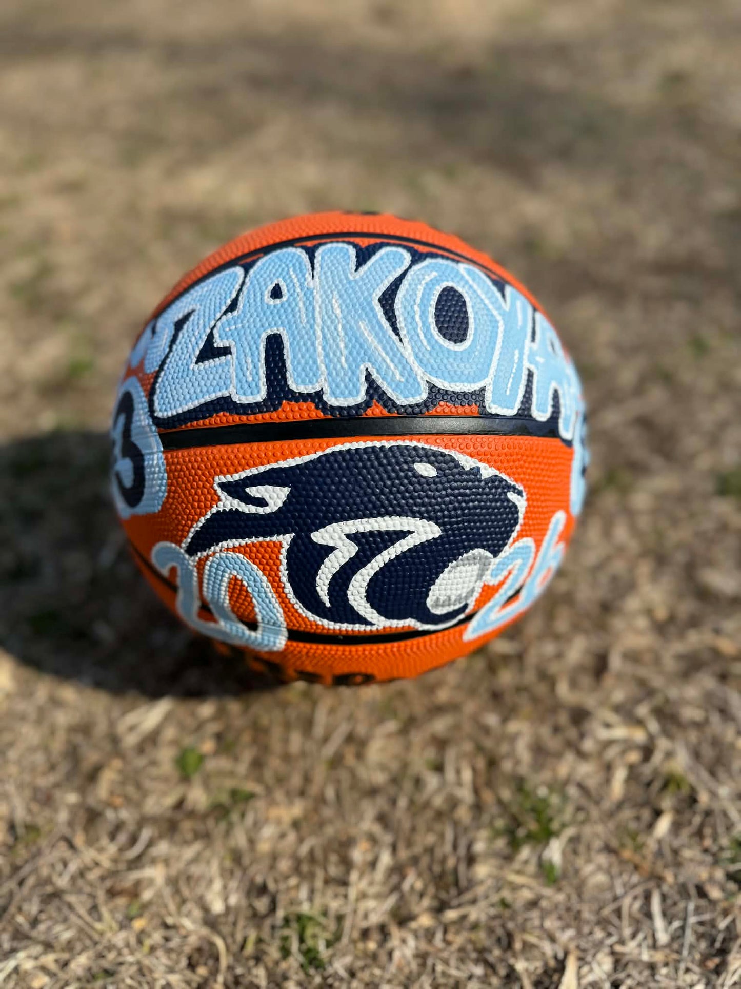 Custom Hand-Painted Sports Balls